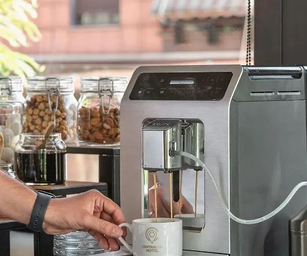 酒店 Central Inn Hotel 4*